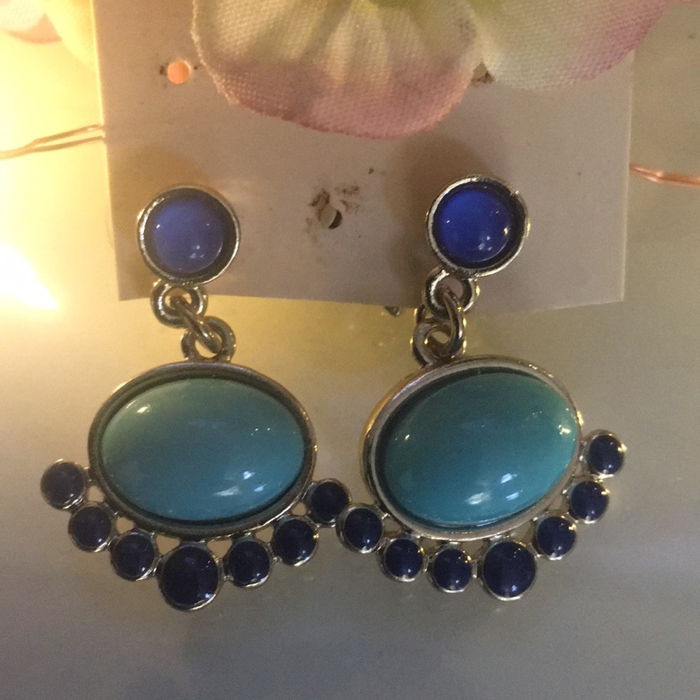 Women’s blue enamel drop fashion earrings